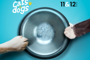 Banner About Cats & Dogs