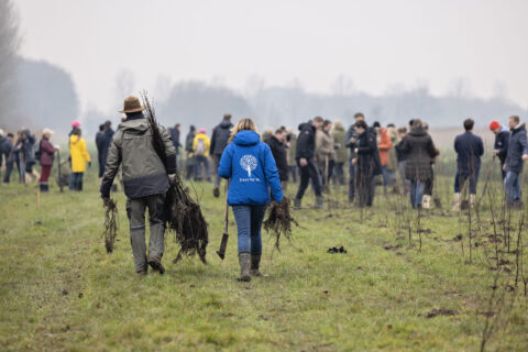Koninklijke Jaarbeurs plant samen met Trees for All nieuw bos in Leersum