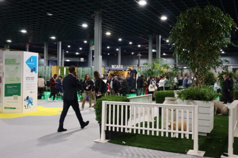 Waarom concurreren als je ook krachten kunt bundelen?