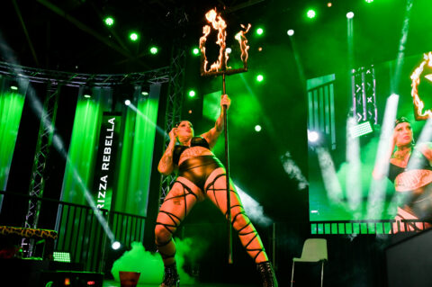 Huismussen en paradijsvogels: De KamaSutrA