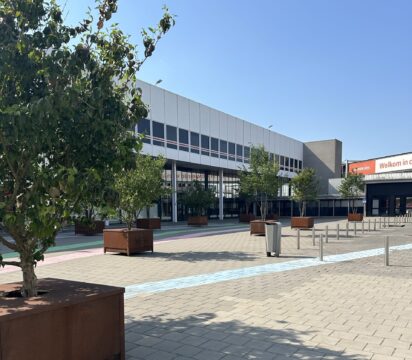 Tijdelijk bos bij Jaarbeurs laat Utrechters verschil tussen steen en groen voelen