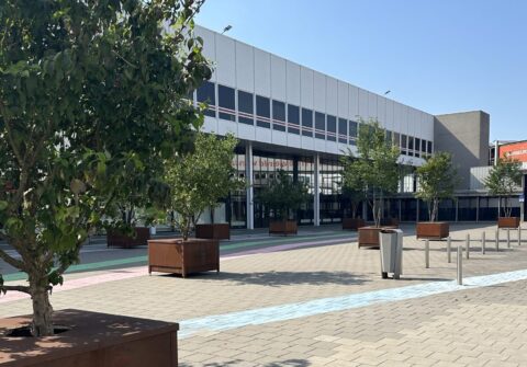 Tijdelijk bos bij Jaarbeurs laat Utrechters verschil tussen steen en groen voelen